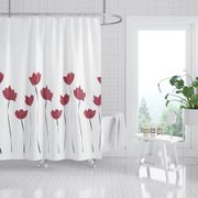 tulip-bordo